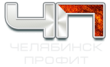 Челябинск профит